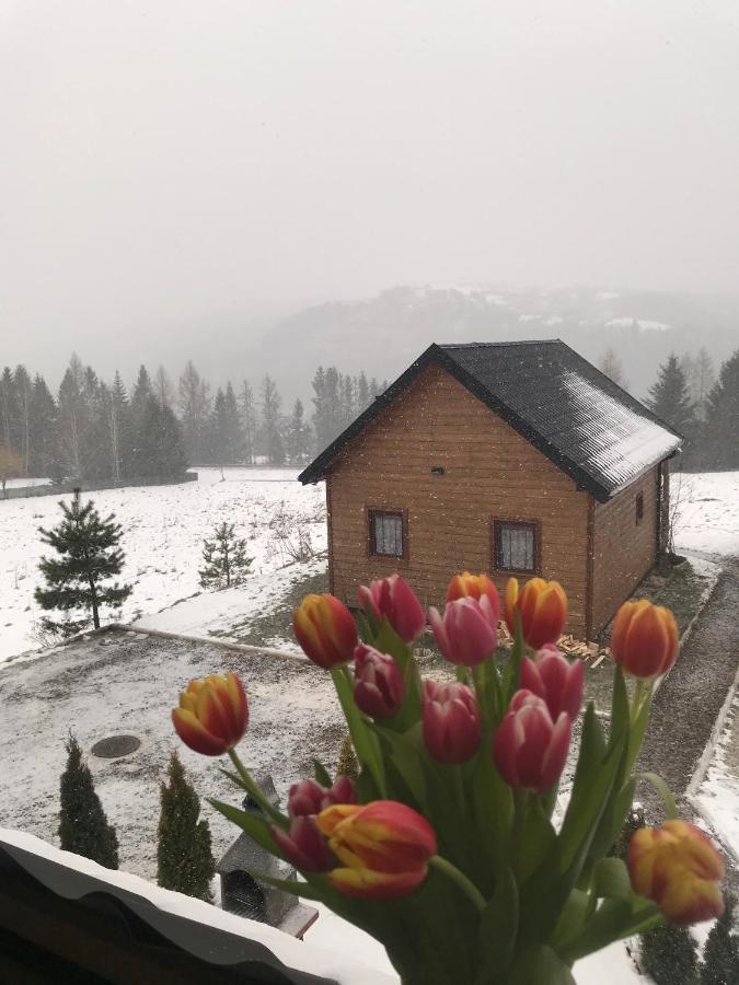 Domki Zlota Rybka Nad Jeziorem Solinskim Zawóz Dış mekan fotoğraf