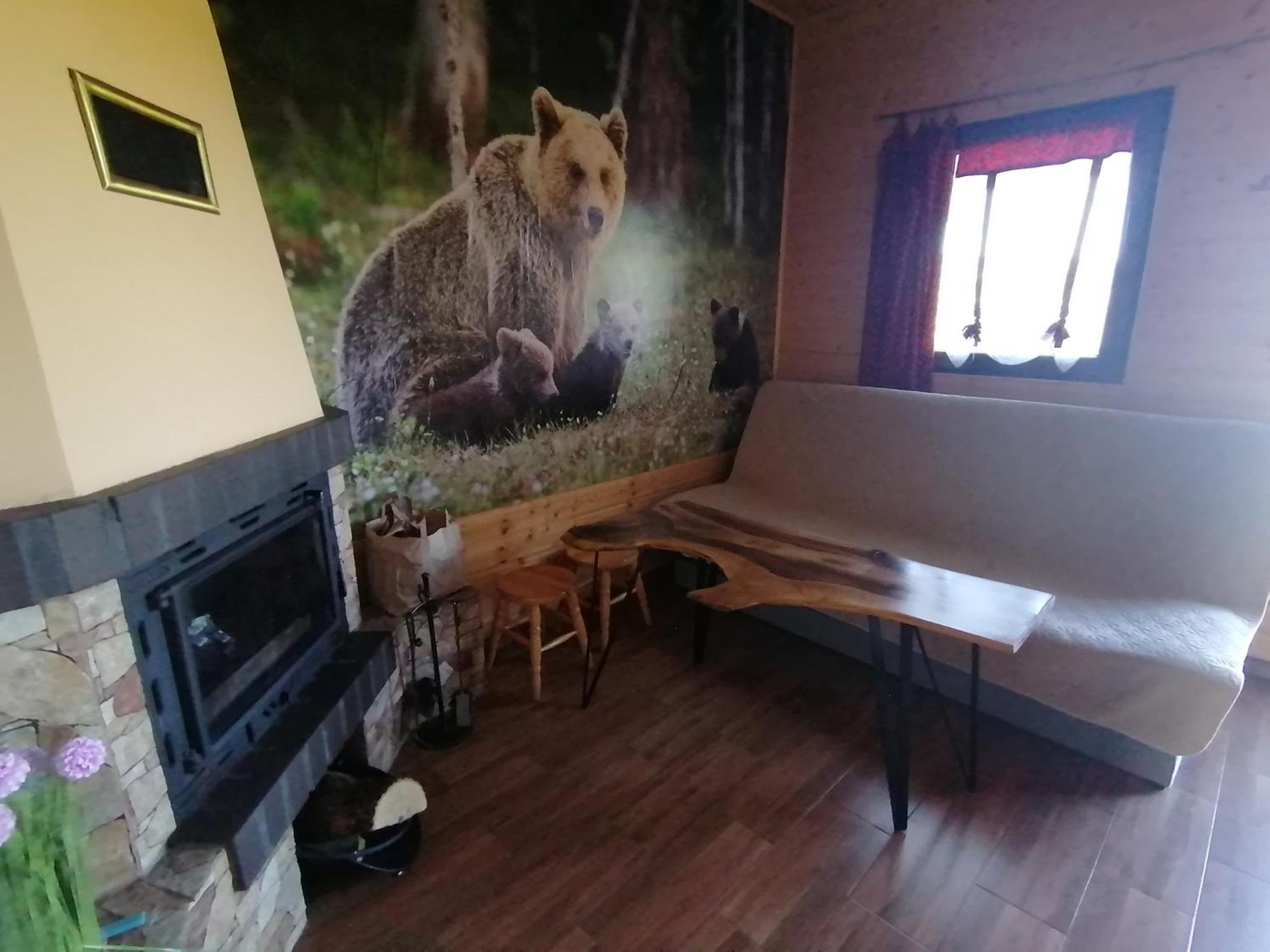 Domki Zlota Rybka Nad Jeziorem Solinskim Zawóz Dış mekan fotoğraf